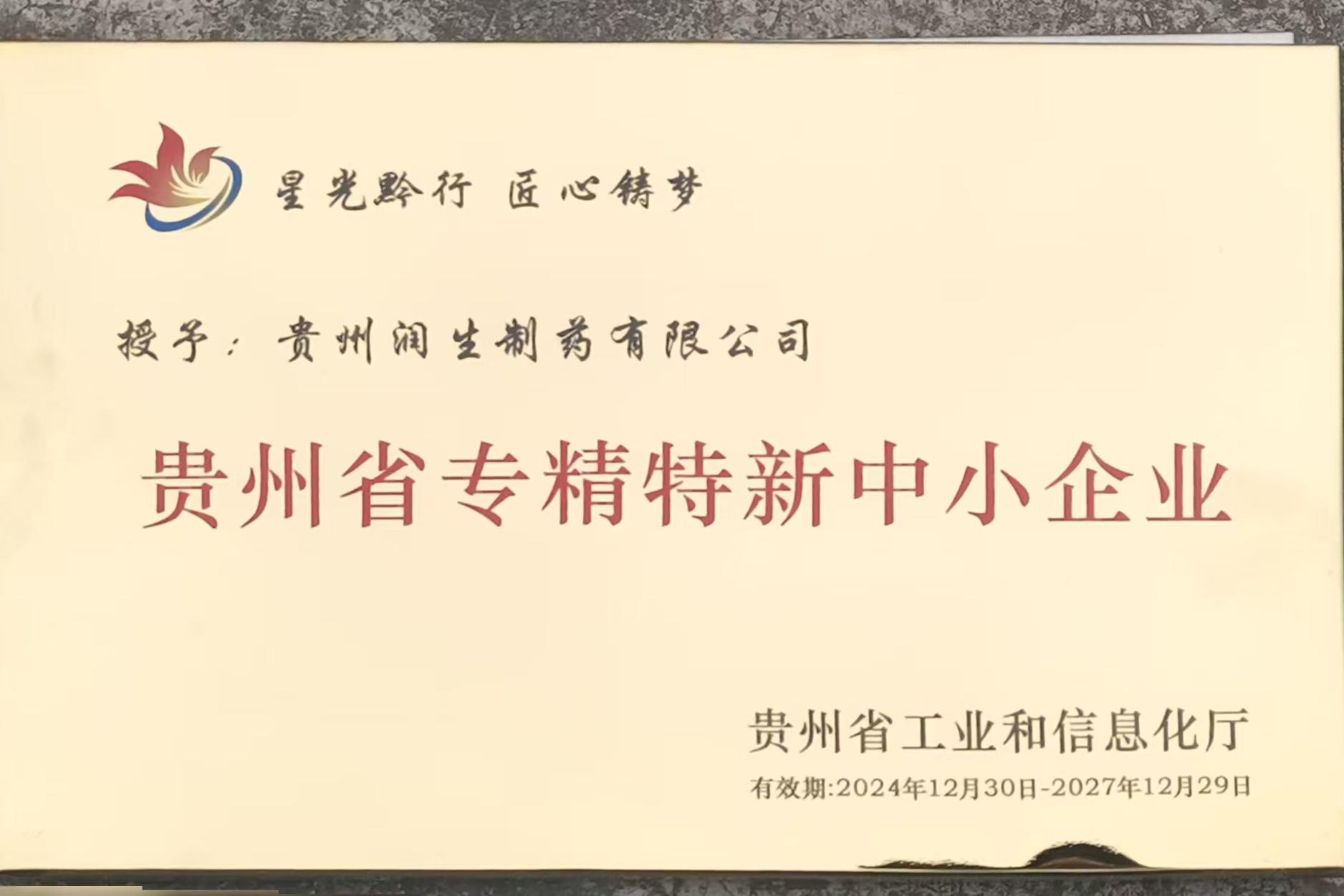 贵州省专精特新中小企业